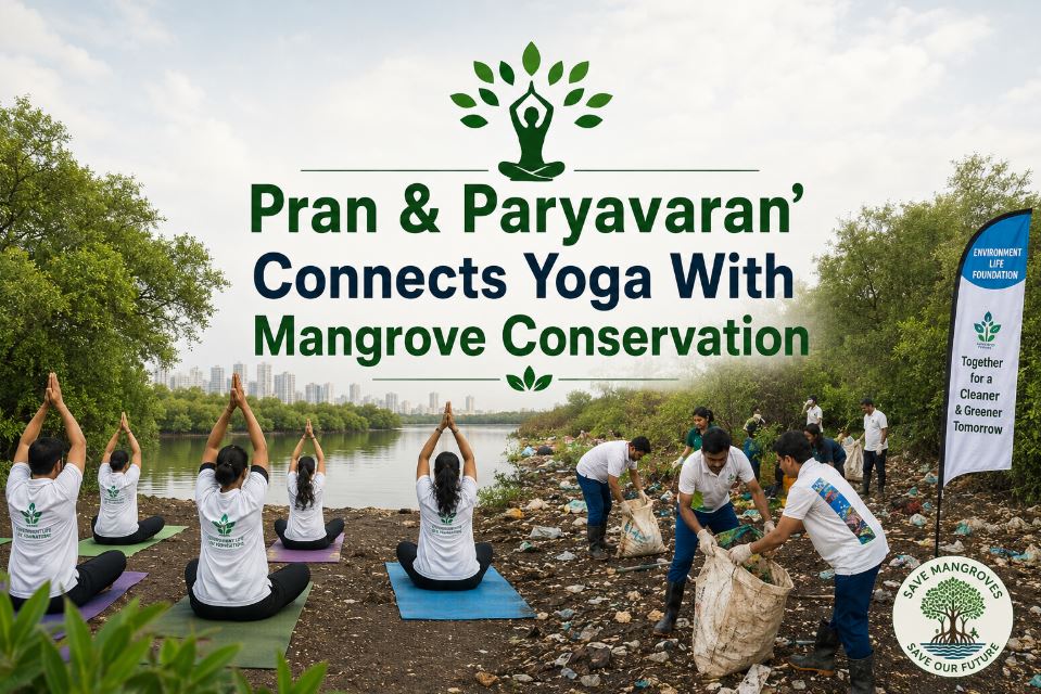 International Yoga Day in Navi Mumbai: ‘Pran & Paryavaran’ Connects Yoga With Mangrove Conservation